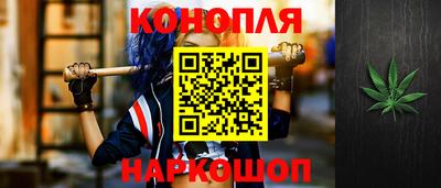 прущие грибы Обь
