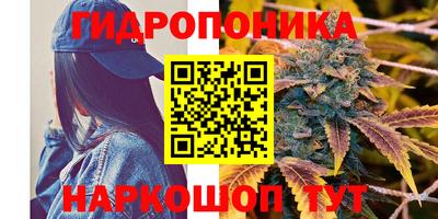 прущие грибы Обь