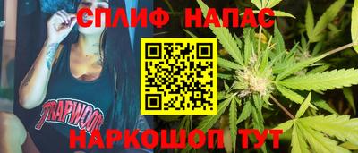 прущие грибы Обь